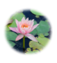 ashram-menu4